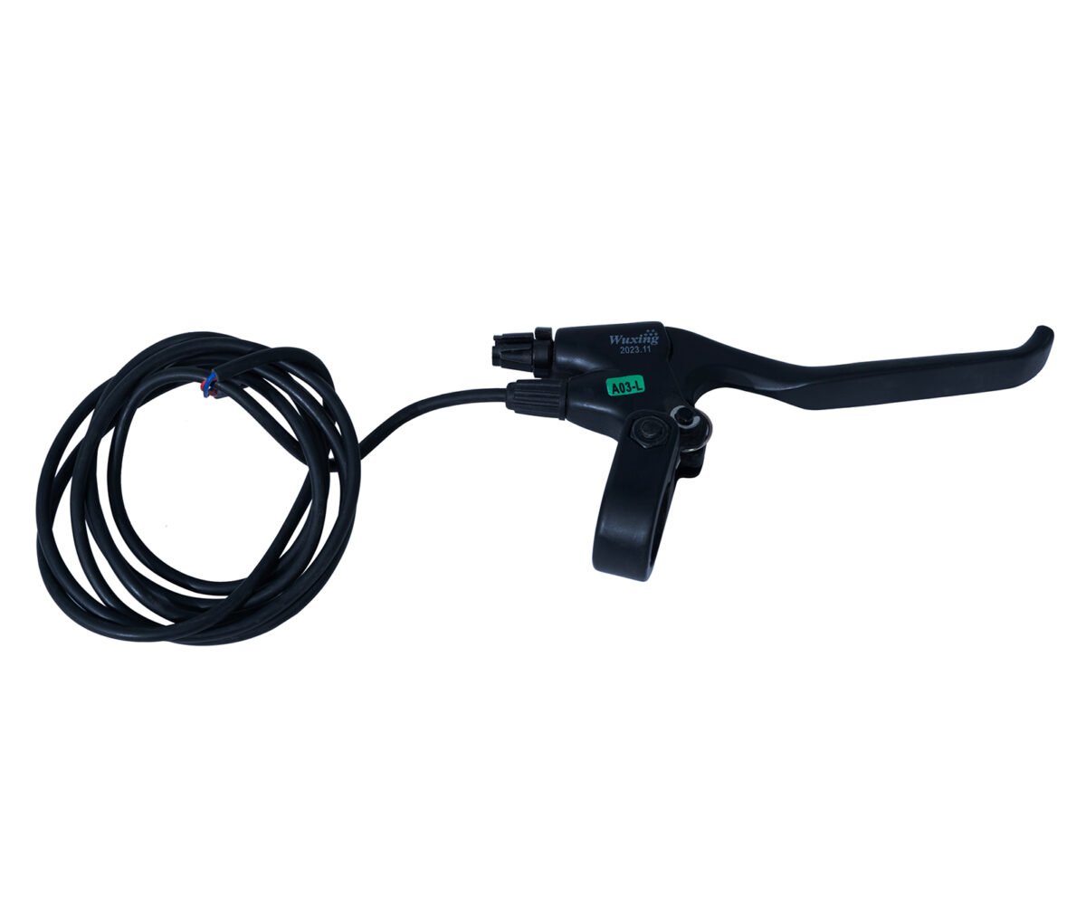 Electronic Brakes
